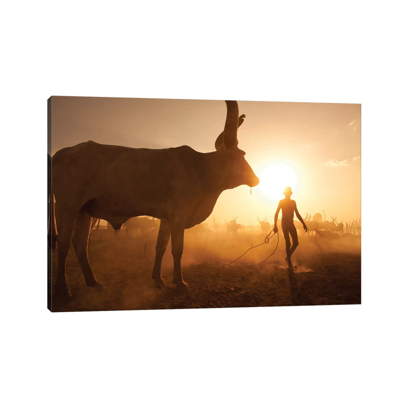 Saving The Cows by Hesham Alhumaid - Wrapped Canvas Print, 66.04 cm H x 45.72 cm W x 3.175 cm D