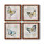 Carte postale papillon I - ensemble de 4 reproductions d'art sur toile-1562484621-1562484626-1562566378