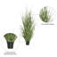 Ray-vert en pot artificiel-73295394