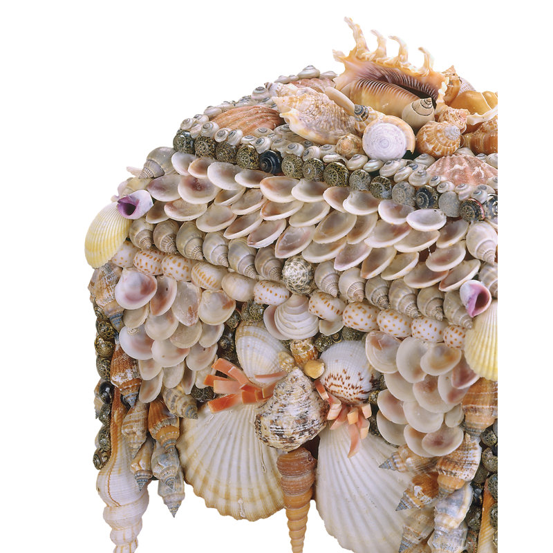 Boardwalk Shell Jewelry Box