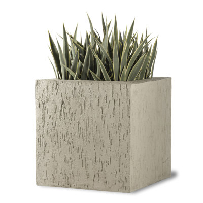 Aunika Planter