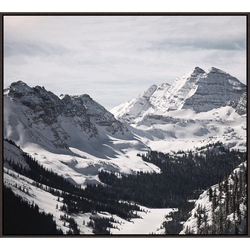 Snowy Bells VI Print by David Brown, Image Brush Gel