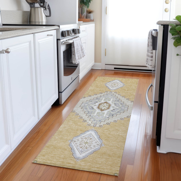 Machine Washable Indoor/Outdoor Chayden ACN1014 Rug