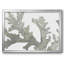 Stone Macro Coral II, reproduction d'art sur toile-95885513-95885514