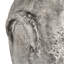 Vase de table gris-15894455