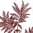 22" Sumac Branch-1151590204