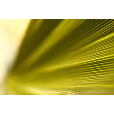 Green Soft Background by Oonal - No Frame Art Prints on Canvas