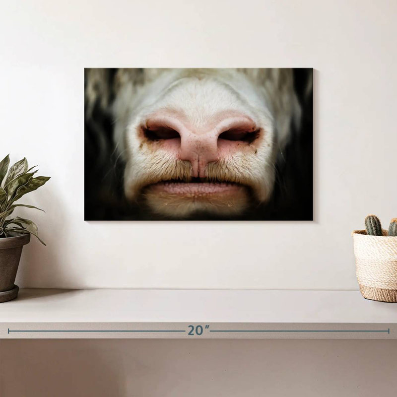 Brampt Cow Muzzle, 8" H x 12" W