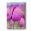 Tige magenta - galerie Cavas sur mesure-407137036