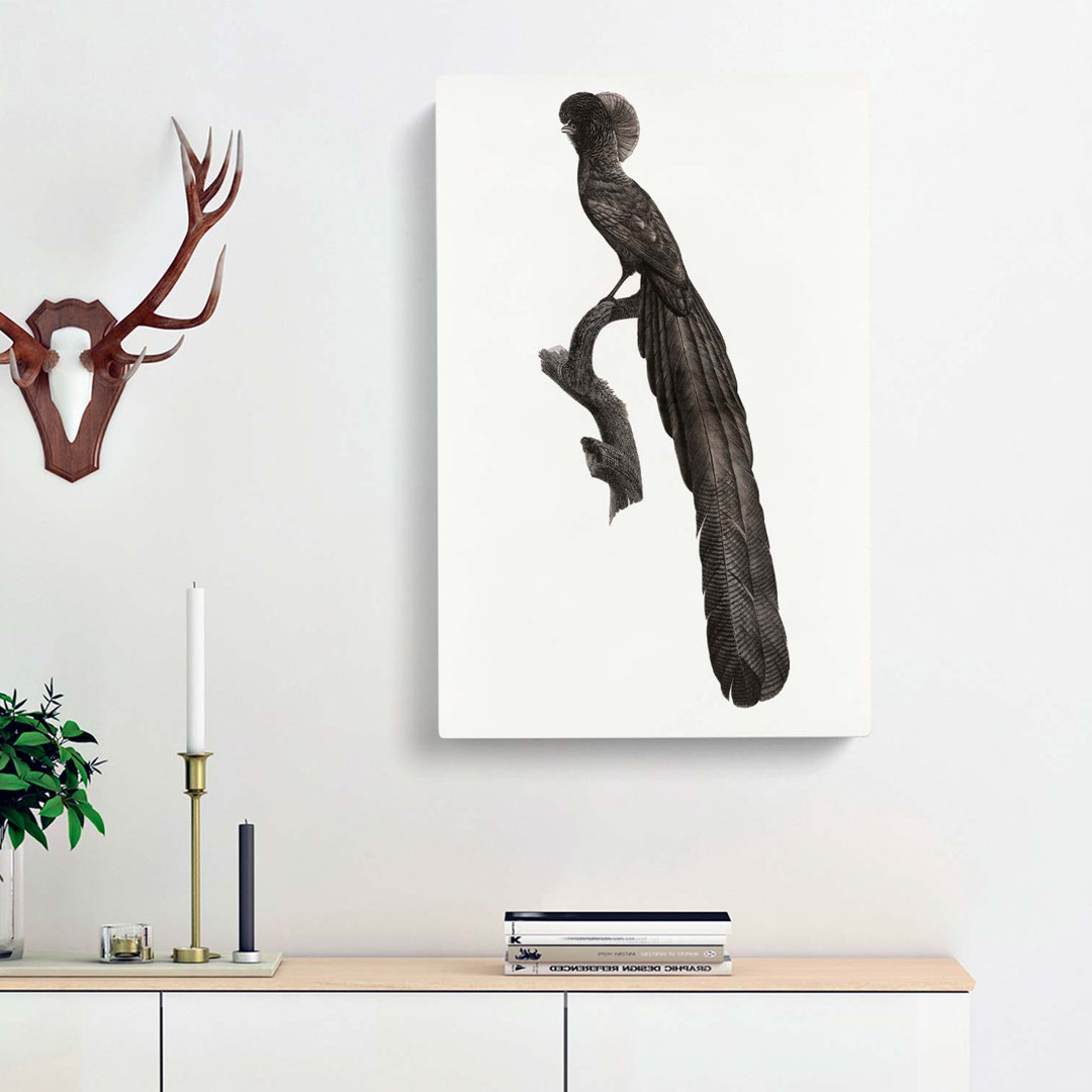 Magpie Bird of Paradise by Jacques Barraband - Wrapped Canvas Art - Wrapped Canvas