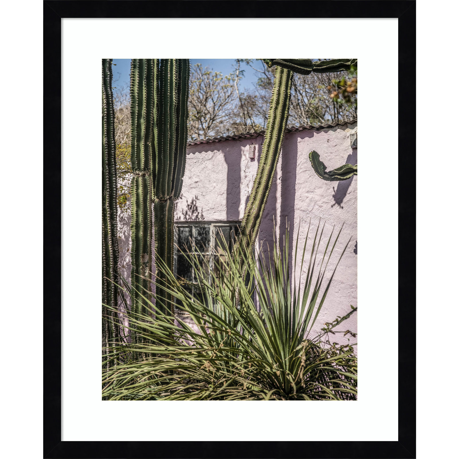 Daisey "Plants on Pink" Print, Black, 21" H x 17" W
