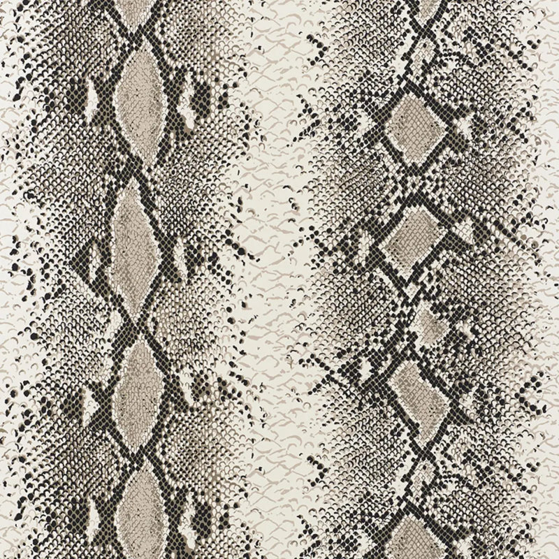 Papier peint charmeur de serpent, Cendre