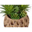 Plante artificielle