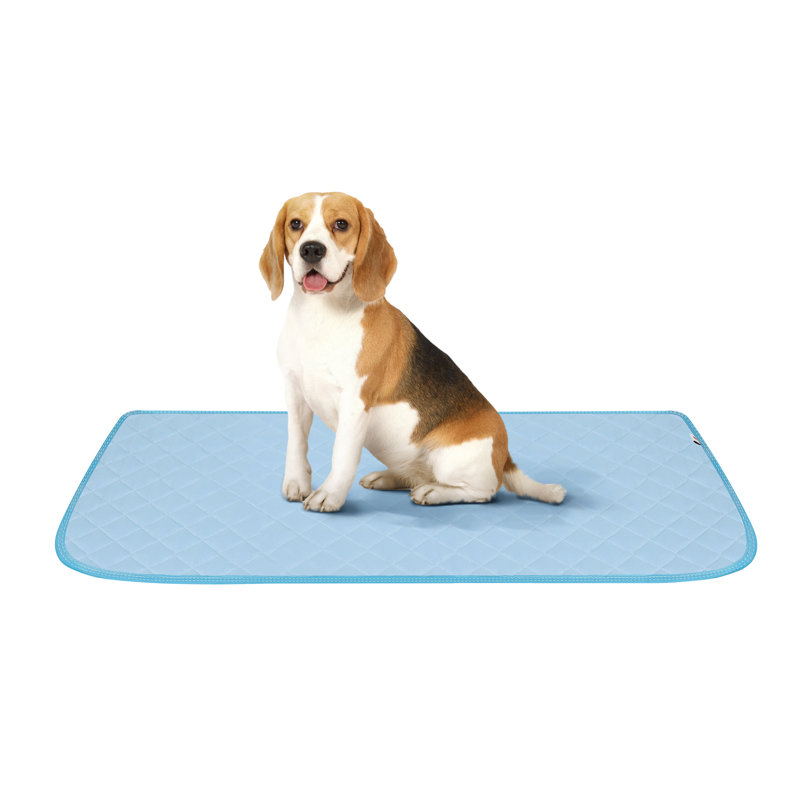 Tapis de refroidissement bleu pour chiens et chats