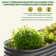 Heise 9 In 1 Modular Galvanized Steel Raised Garden Bed
