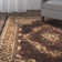 Andrews Oriental Indoor Rug
