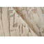 Area Rug in Beige-63579893