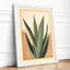 Succulent Study Botanical - Framed Print-452790893-452790899