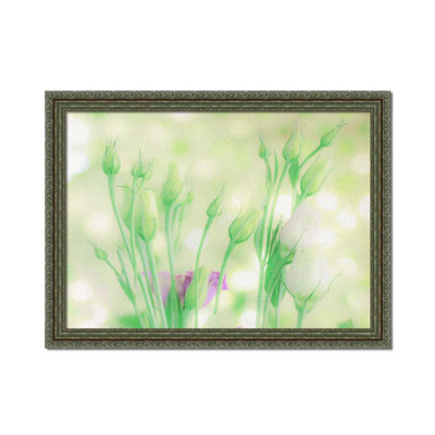 Soft Summer Focus by Hal Halli. Paper Print - Mounted & Framed