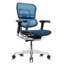 Tempur-Pedic Ergohuman GEN2 Mid Back Ergonomic Office Chair with Tempur-Pedic Seat, Adjustable Arms, Seat Height, Tilt Lock and Lumbar Support, Mesh Back-1724416347