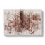 Autumn Forest Vol.7 - Wrapped Canvas-61886338