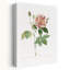 Rosa Gallica, art abstrait rétro rétro avec paysage floral-1969451211