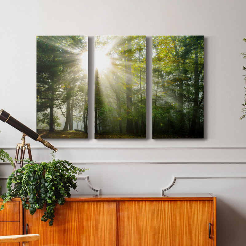 Lumière et arbres II - photographie sur toile tendue 3 pièces, H 18 po x l 36 po x P 1 po
