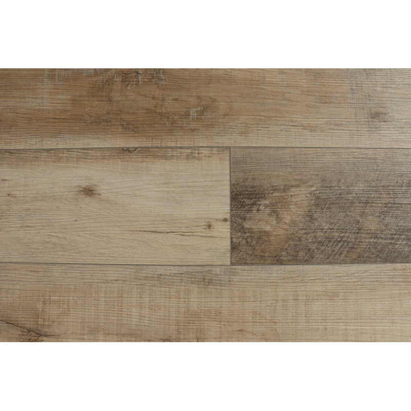Compass 5.5mm Thick 7.2'' W x 48'' L Oak Vinyl Plank, Baytown