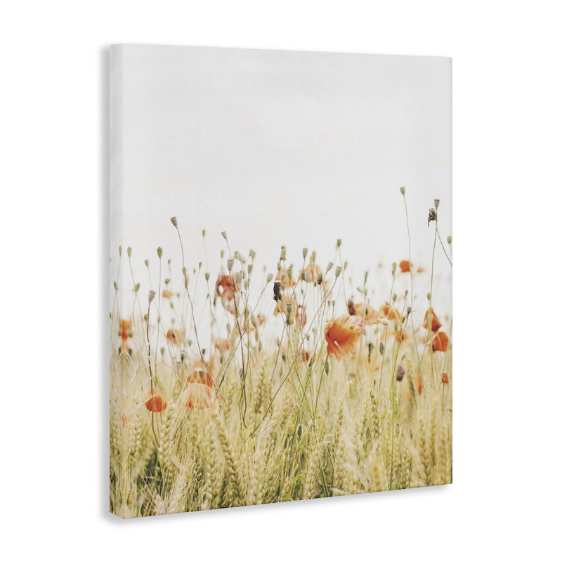 Photographie de coquelicots par Krista Broadway, H 40 po x l 30 po x P 1,5 po