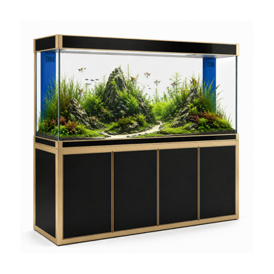 Rectangle Aquarium Tank
