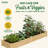 Katsuyoshi Wood Raised Garden Bed-689863014-689863015