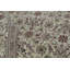 Wool Oriental Area Rug in Beige/Ivory
