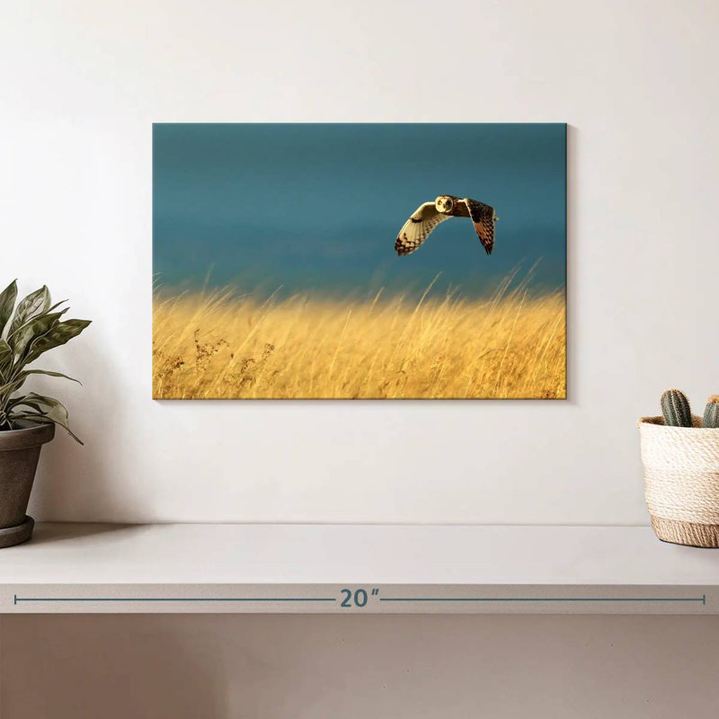 Owl In Flight, 8" H x 12" W