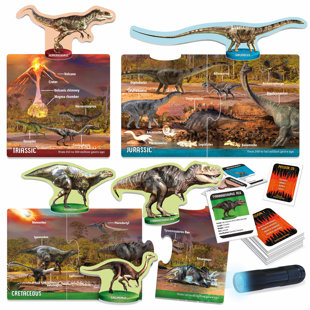 Dinosaures sous rayons X