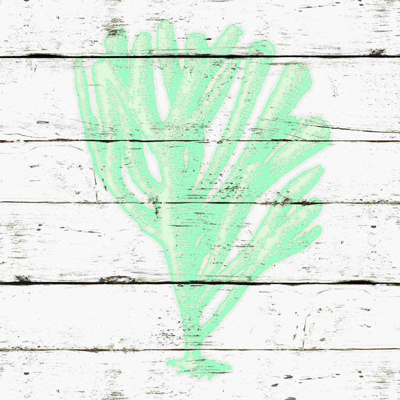 «Mint Green Coral», impression sur toile tendue, H 12 po x l 12 po