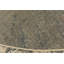 Tapis beige / gris / brun Wilhoit-505225753
