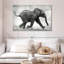 Bébé éléphant Brampt qui court-107685190