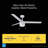 Skelton Ceiling Fan with LED Light – 44'' 3-Blade, Pull Chain Control, Reversible AC Motor, Adjustable Color Temperature, Matte White with Matte White Blade Finish-1277667843-1277667852-1230574623