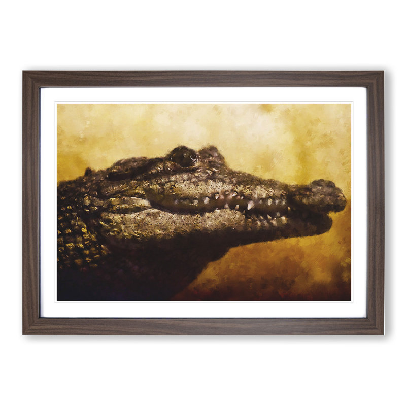 Alligator - Framed Print, 27cm H x 36cm W x 2cm D, Walnut Framed