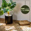 30.5cm L x 30.5cm W Solid Wood Interlocking Deck Tile-224781419