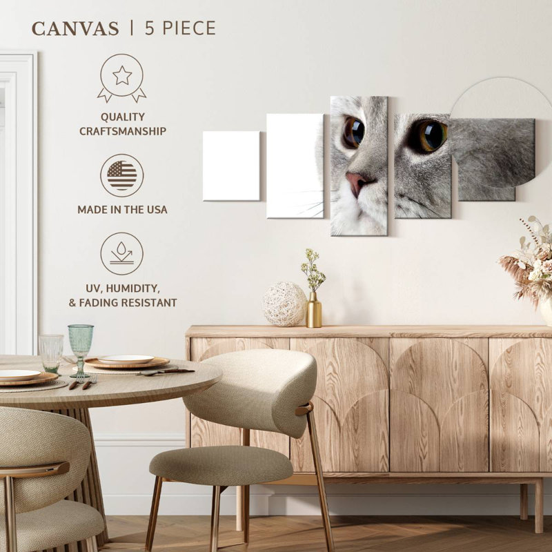 Chat gris moelleux, H 24 po x l 55 po