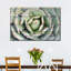 Agave rustique sur toile-702573797
