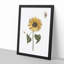 Sunflower with Butterflies by Johan Teyler - Picture Frame Painting Print-55613863-55613868