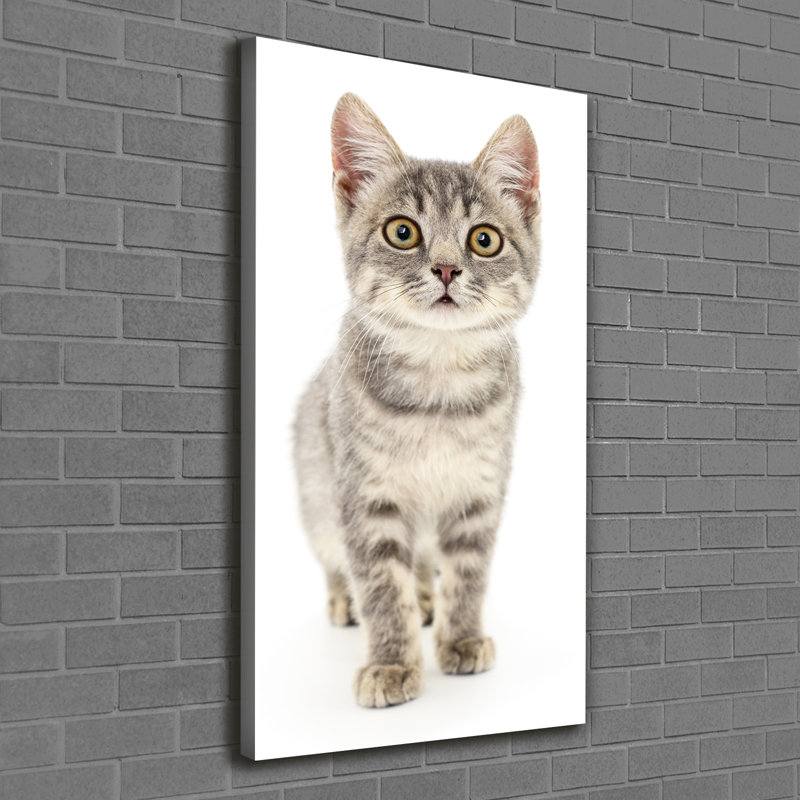 Gray Cat - Wrapped Canvas Print