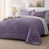 Mauve grisâtre est en rupture de stock