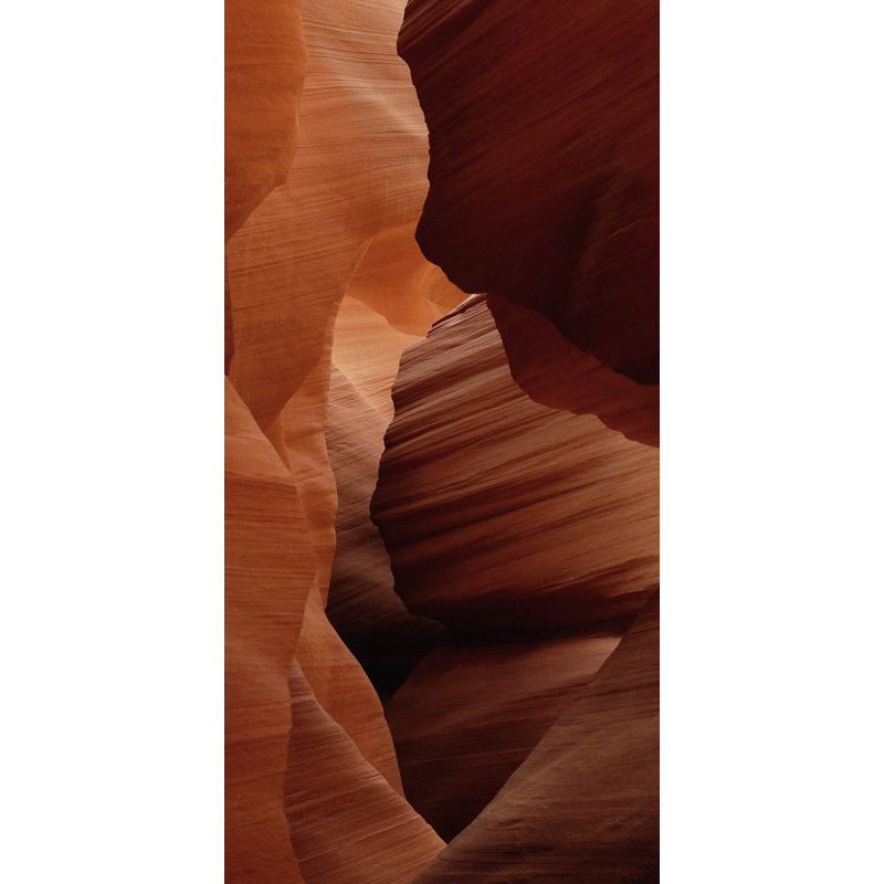 Art of Nature 007 - No Frame Rectangle Print on Metal, 98cm H x 48cm W 