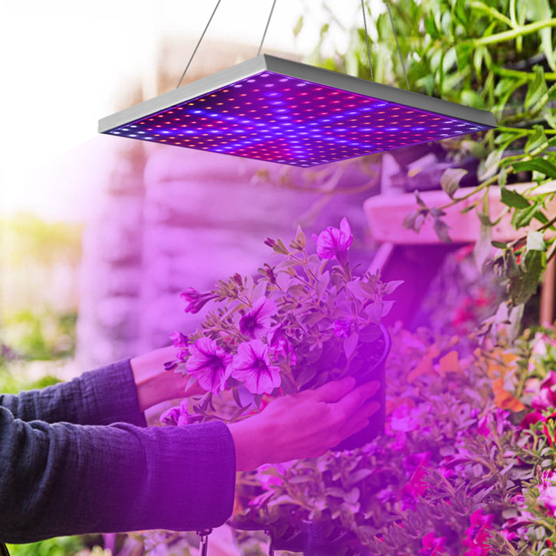 Full Spectrum 15W LED Grow Light with 225 LEDs for Indoor Plants