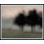 Amongst The Breeze 1 Print by Art House Studios-1613142489