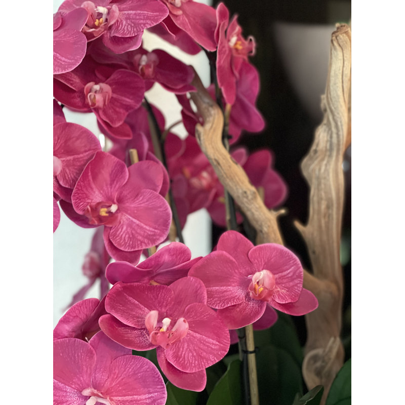 Olympian Phalaenopsis Orchids Centerpiece in Planter, Pink, Gold