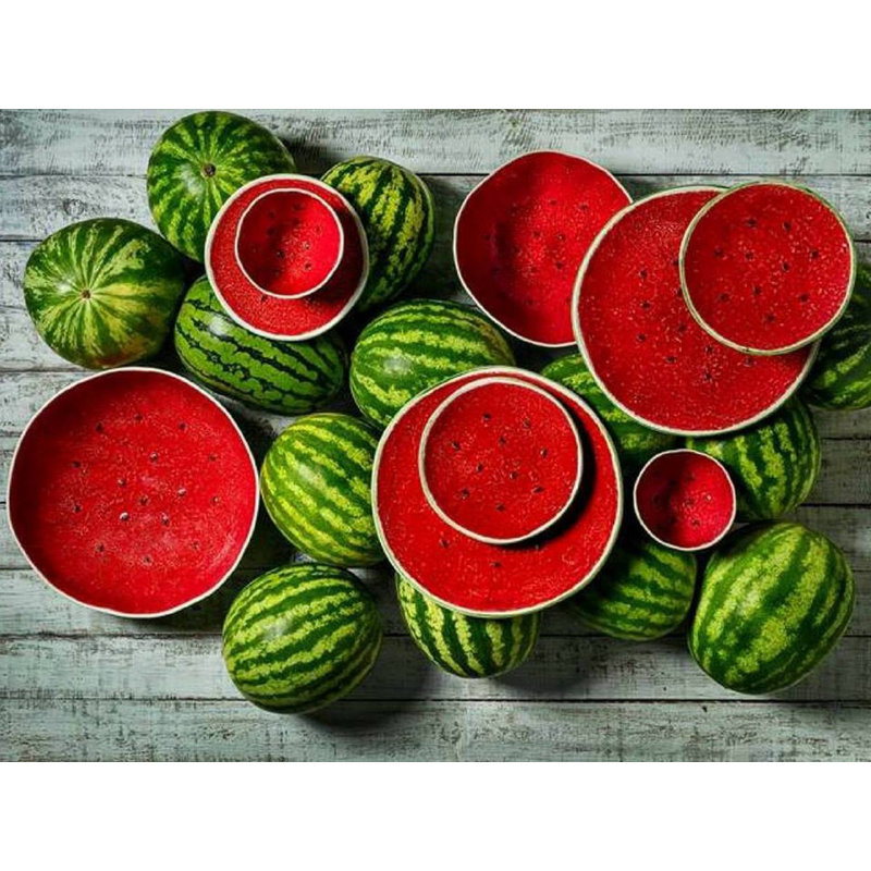 Watermelon Earthenware Charger